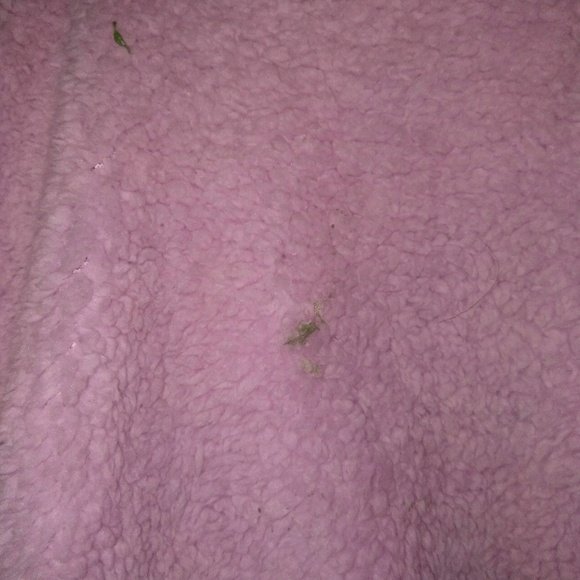 Jacket - Picture 3 of 5